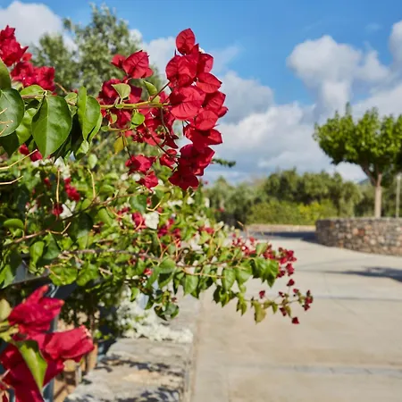 Villa Searocks Exclusive Village Kitriaí