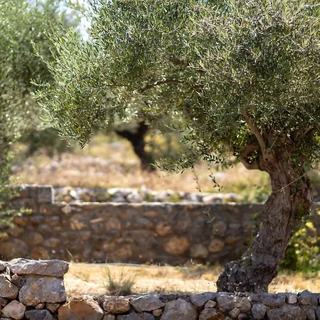 Searocks Exclusive Village Villa Kitriaí